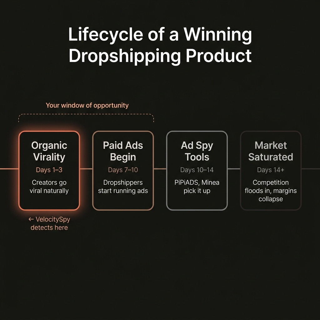 The lifecycle of a winning dropshipping product — from organic virality to market saturation